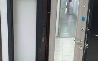 стальная дверь с терморазрывом, внутри зеркало во весь рост